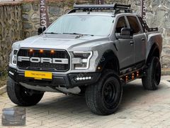 TMG MOTORS 2016 F150 OF ROAD TAM DOLU