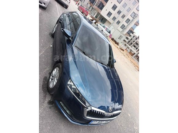Sahibinden Skoda Octavia 1.0 e-Tec Elite 2022 Model 