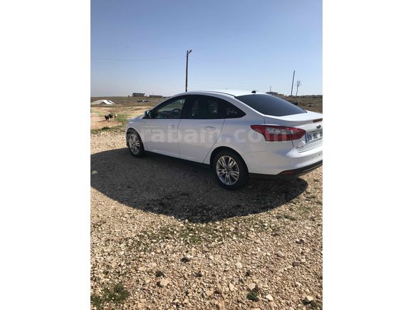 Sahibinden Ford Focus 1.6 TDCi Trend X 2014 Model 
