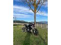Sahibinden Benelli 125 S