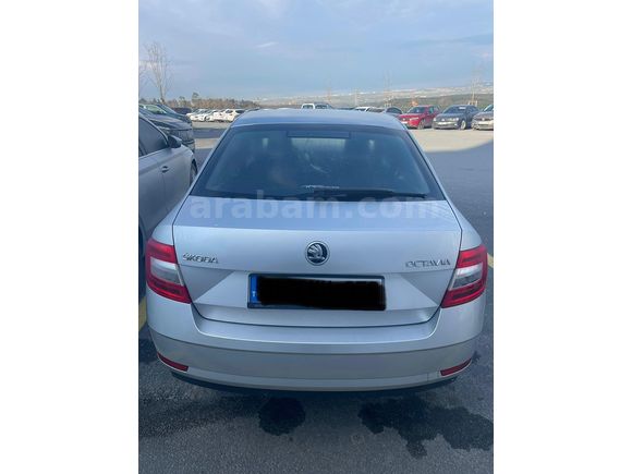 Sahibinden Skoda Octavia 1.6 TDI Optimal 2019 Model