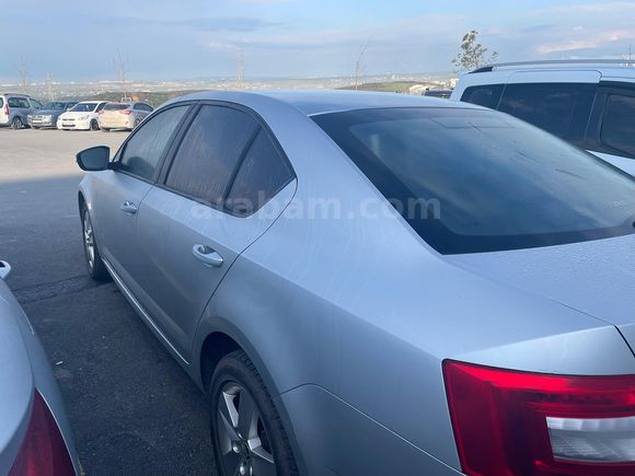 Sahibinden Skoda Octavia 1.6 TDI Optimal 2019 Model