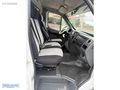 2020MODEL GAZELLE NEXT 150 HP CELEP KASA KAMYONET KİLİMALİ