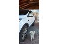 Sahibinden  Ford Kuga 1.5 TDCi Style 2018 Model ceki demirli