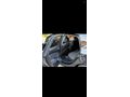 Sahibinden Opel Astra 1.6 CDTI Sport 2014 Model