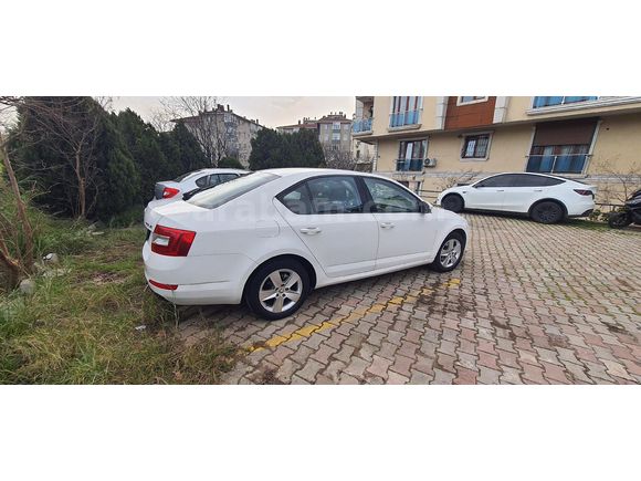 Sahibinden Skoda Octavia 1.2 TSI Optimal 2016 Model