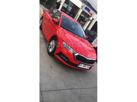 Sahibinden Skoda Octavia 1.0 e-Tec Elite 2023 Model 
