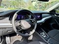 PRİME MOTORS - 2024 SKODA YENİ KASA+İLK SAHİBNDEN+SERVİS BAKIMLI
