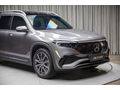 2025 EQB 250+ PANORAMK_BURMESTER_ISITMA_E.BGJ_20.529KM_BOYASIZ