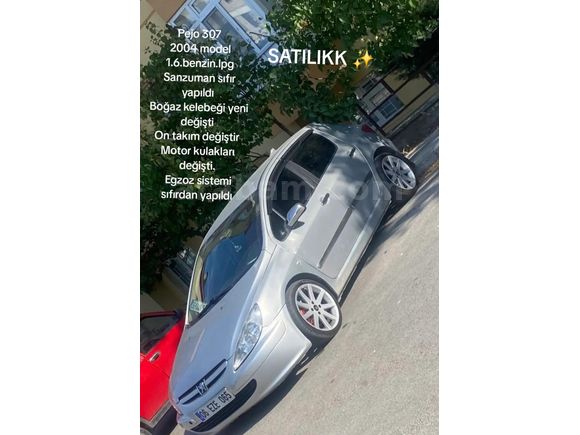 Sahibinden Peugeot 307 1.6 Profil 2004 Model  380 km Gri