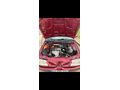 Sahibinden Renault Megane 1.6 RTE 1999 Model
