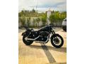 HD Servis Bakımlı Iron 883
