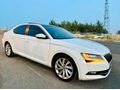 Sahibinden Skoda SuperB 1.6 TDI Prestige 2016 Model 