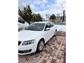 Sahibinden Skoda Octavia 1.6 TDI Elegance CR 2013 Model 