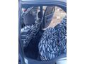 Sahibinden Hyundai Accent 1.5 Admire 2004 Model  305.000 km Gri