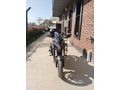 İlk Sahibinden Bajaj Dominar 400 UG