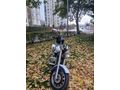 Sahibinden Kanuni Tiger 250 
