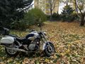 Sahibinden Kanuni Tiger 250 