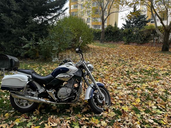 Sahibinden Kanuni Tiger 250 
