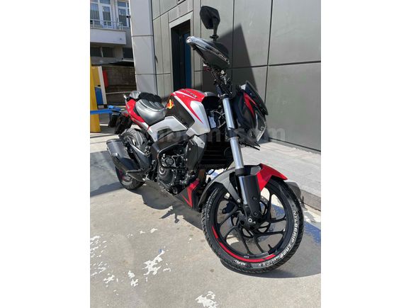 Tertemiz Dominar 250