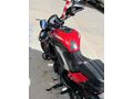 Tertemiz Dominar 250