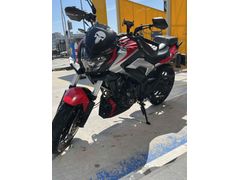 Tertemiz Dominar 250