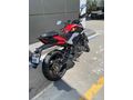 Tertemiz Dominar 250