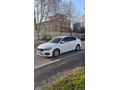 1 Parça Lokal Boyalı Fiat Egea 1.6 Multijet Easy 2019 Model 