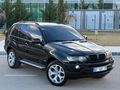 ///EMSALSİZ POLAT KASA X5///