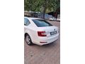 Sahibinden Skoda Octavia 1.6 TDI Optimal 2016 Model