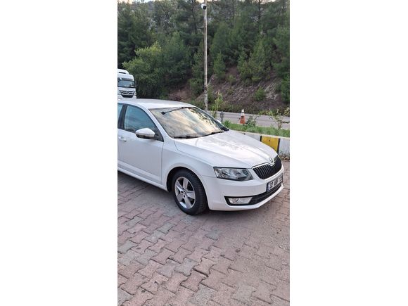 Sahibinden Skoda Octavia 1.6 TDI Optimal 2016 Model