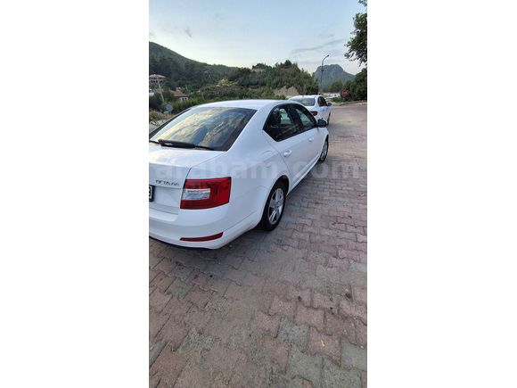 Sahibinden Skoda Octavia 1.6 TDI Optimal 2016 Model