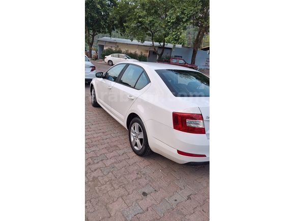 Sahibinden Skoda Octavia 1.6 TDI Optimal 2016 Model