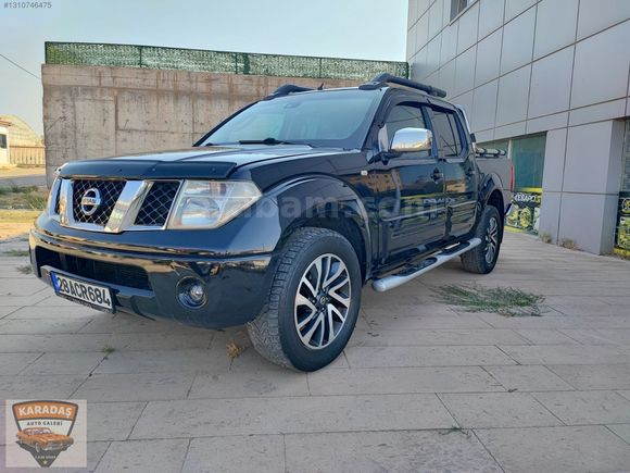 en dolusu dağ aslani