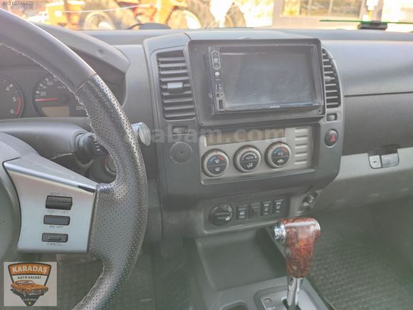 en dolusu dağ aslani