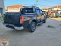 en dolusu dağ aslani
