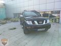 en dolusu dağ aslani
