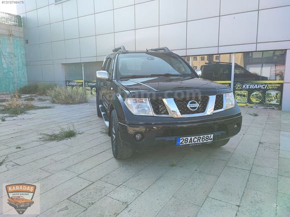 en dolusu dağ aslani