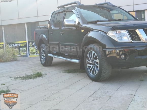 en dolusu dağ aslani