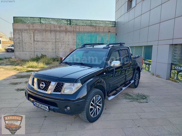 en dolusu dağ aslani