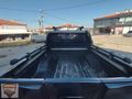 en dolusu dağ aslani