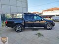 en dolusu dağ aslani