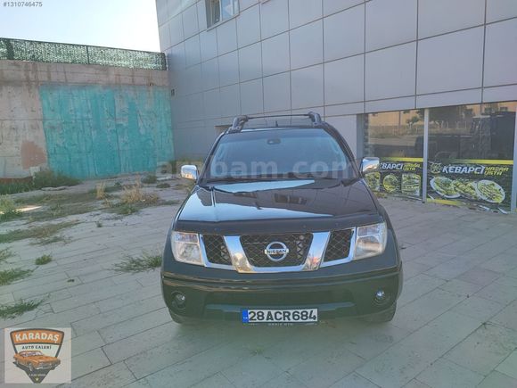 en dolusu dağ aslani