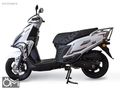 FALCON MOCCO 50X 2026 ÖN SİPARİŞE ÖZEL FIRSAT 12 AY TAKSİT !