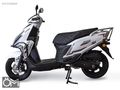 FALCON MOCCO 50X 2026 ÖN SİPARİŞE ÖZEL FIRSAT 12 AY TAKSİT !