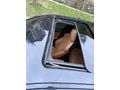 Sahibinden BMW 3 Serisi 320i 50th Year M Edition 2023 Model 