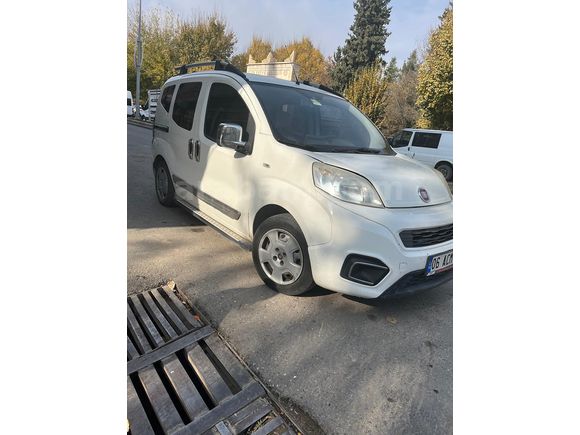 temiz florino
