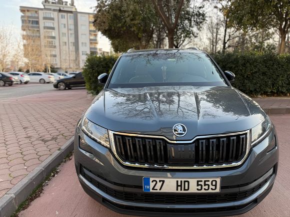 Boyasız Hatasız Kodiaq