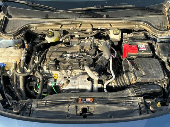 Sahibinden Ford Focus 1.5 TDCi Active X 2023 Model