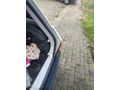 Sahibinden Renault R 12 Toros 1995 Model  300.000 km Beyaz